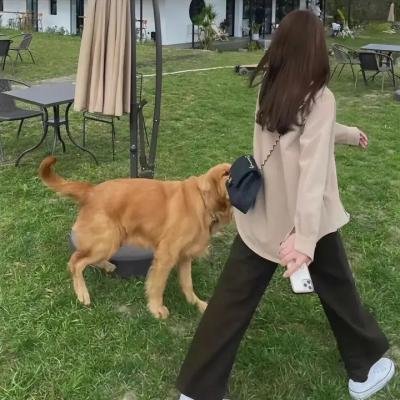 狂躁节拍